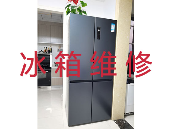 桂林电冰箱维修服务